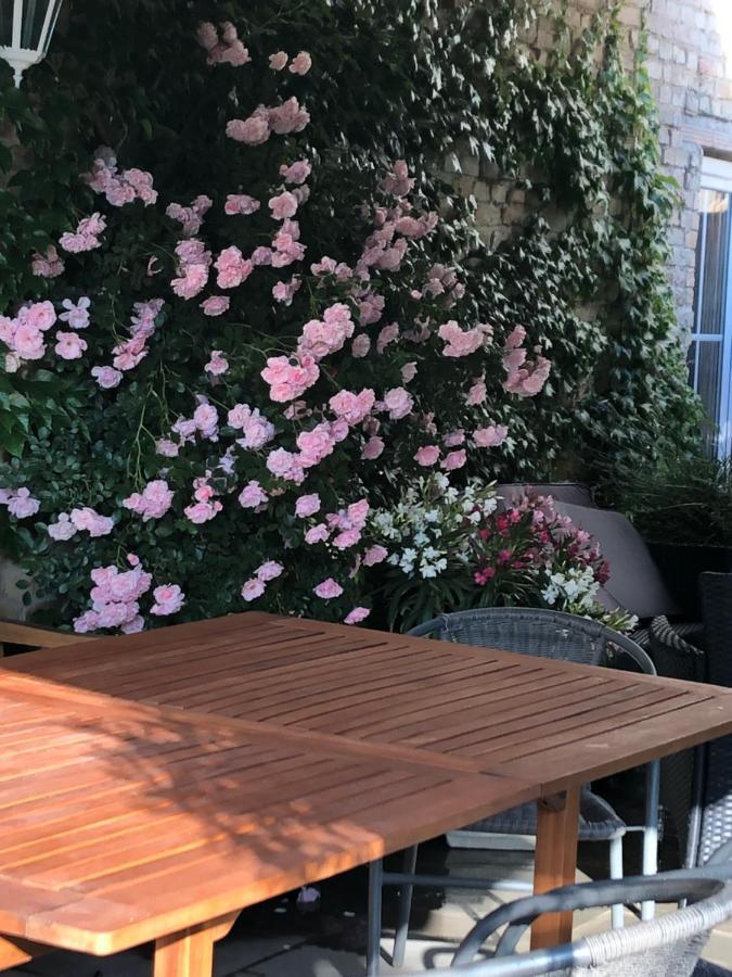 Ferienwohnung In Werder Havel Innenstadt Esterno foto